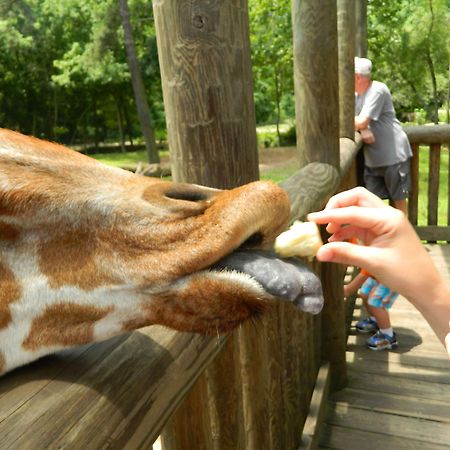 ベストウェスタン エグゼクティブ イン アンド スイーツ コロンビア エクステリア 写真
